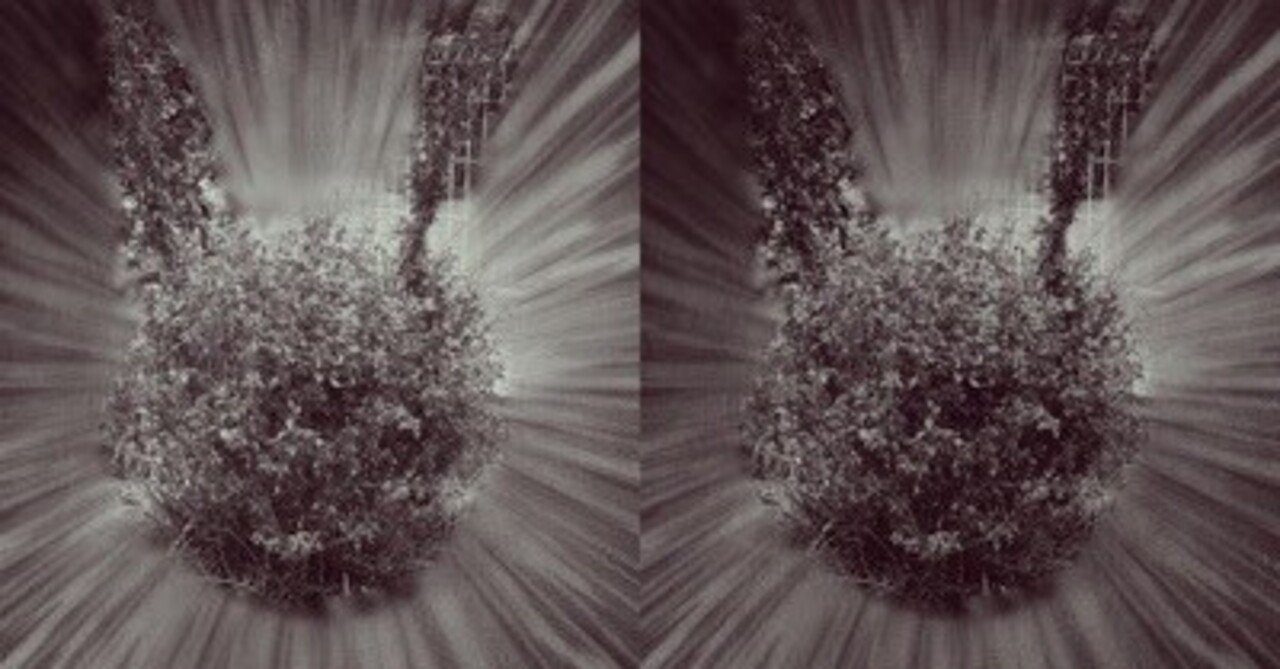 植木職人見習い Akkiy Note 植木職人見習い Akkiy Note