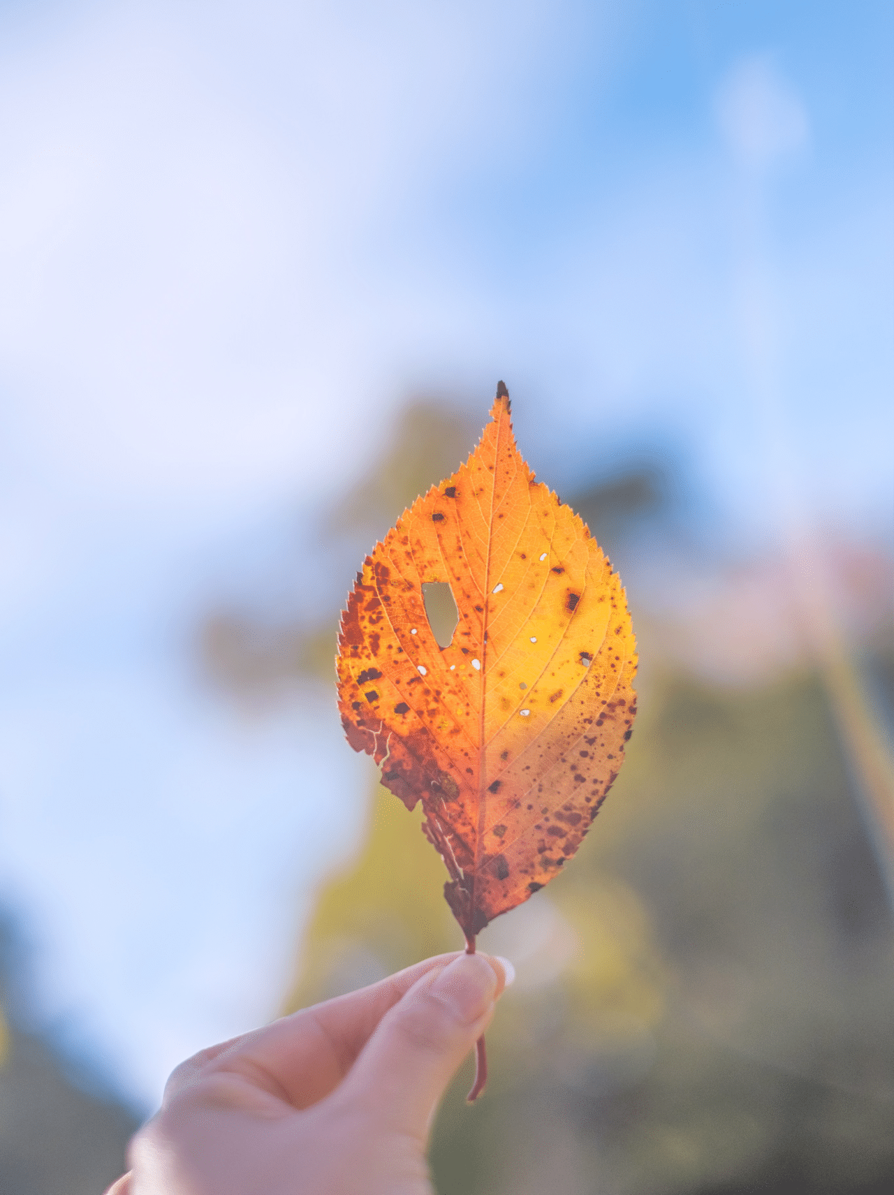 神秘の出会いと答え 3 夏 凛 Karin リリエルル Lili Et Lulu Note 神秘の出会いと答え 3 夏 凛 Karin リリエルル Lili Et Lulu Note