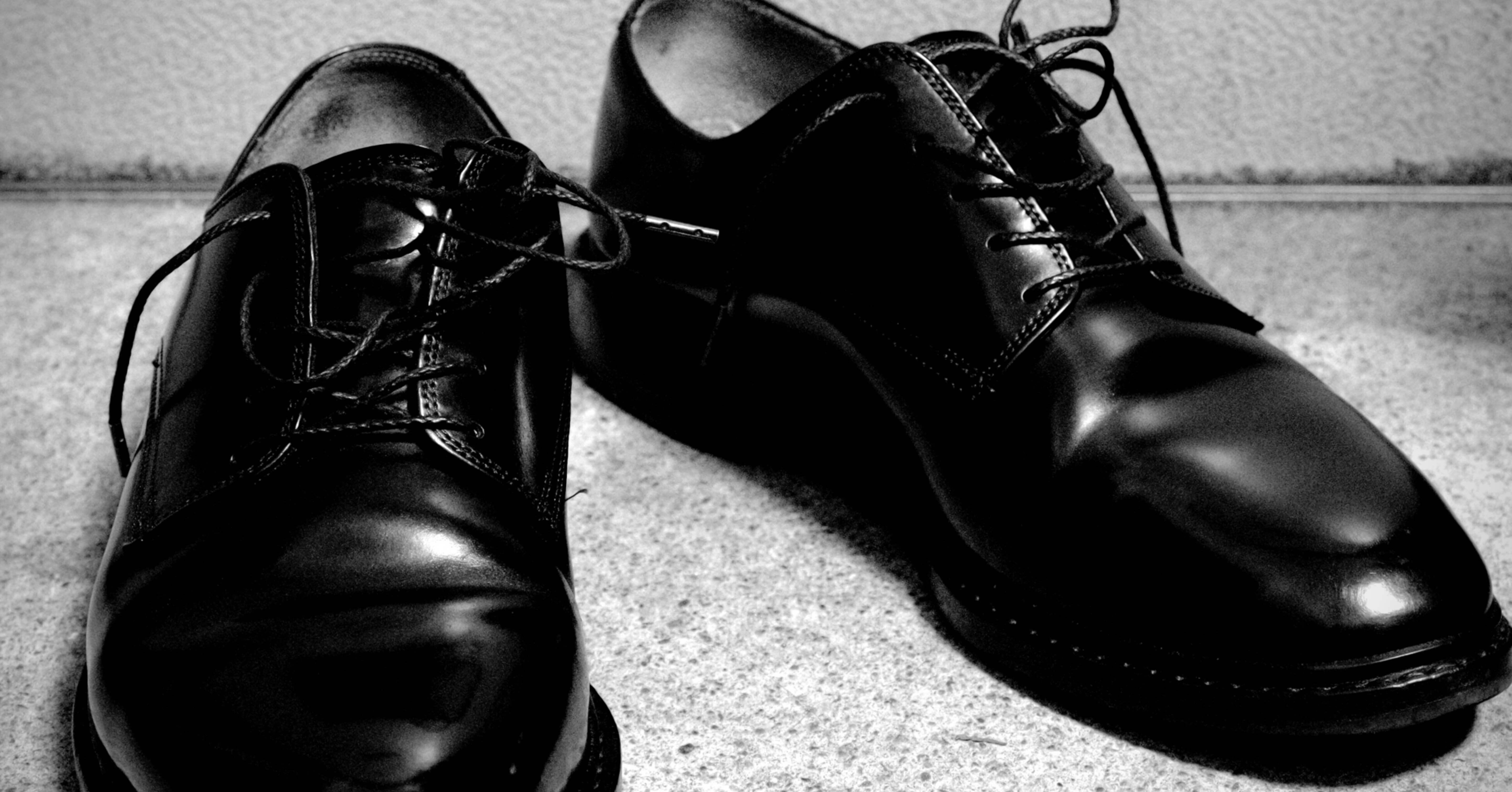 Jalan Sriwijaya 98902 コードバンシューズ｜ささみ120g