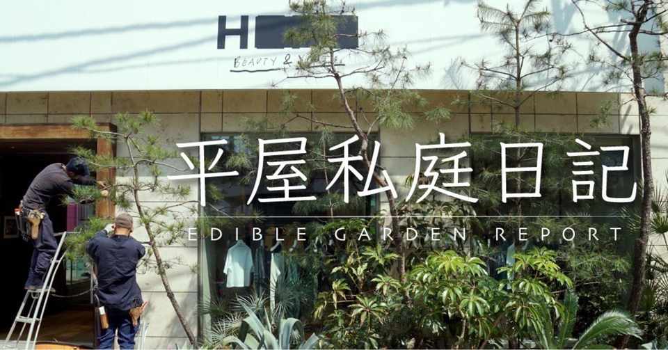 レモンを育てる 平屋私庭日記 6 園園 中山智憲 庭師 Note