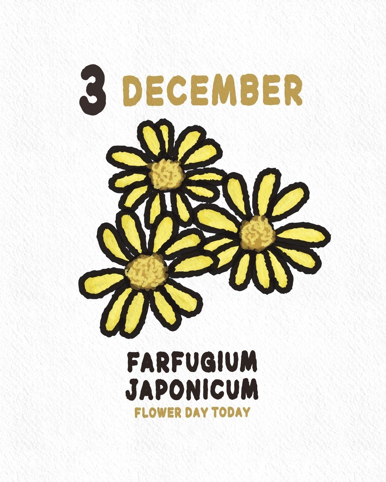 月曜日の今日のお花 12月3日 タロアウト キャラクターアーティスト Note 月曜日の今日のお花 12月3日 タロアウト キャラクターアーティスト Note