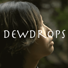 Dewdrops