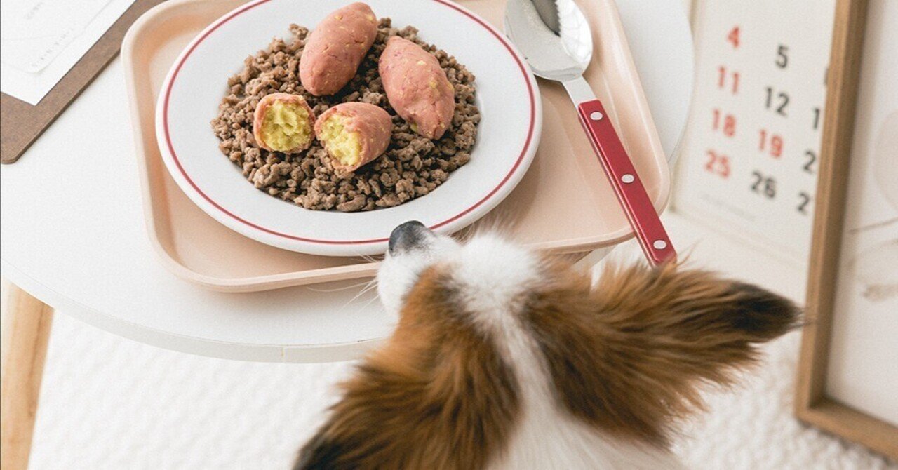 さつまいもとひき肉で作る おいも掘りプレート 手作り犬おやつレシピ 単品購入 いちかわあやこ 犬ごはん先生 Note