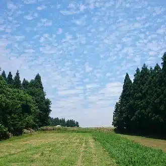 じん