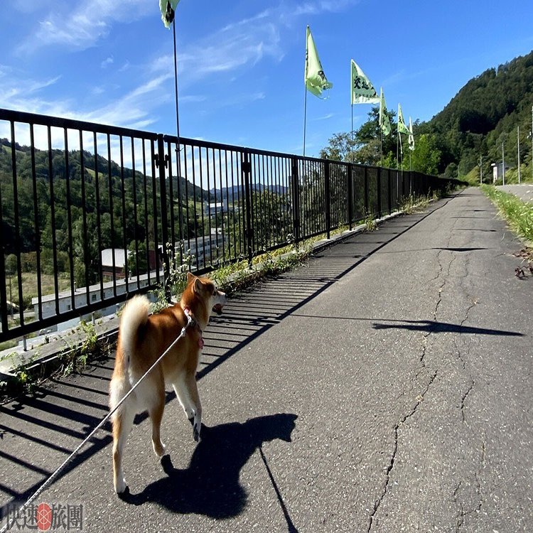 9月の日差しは鋭くて 団長日誌 Note