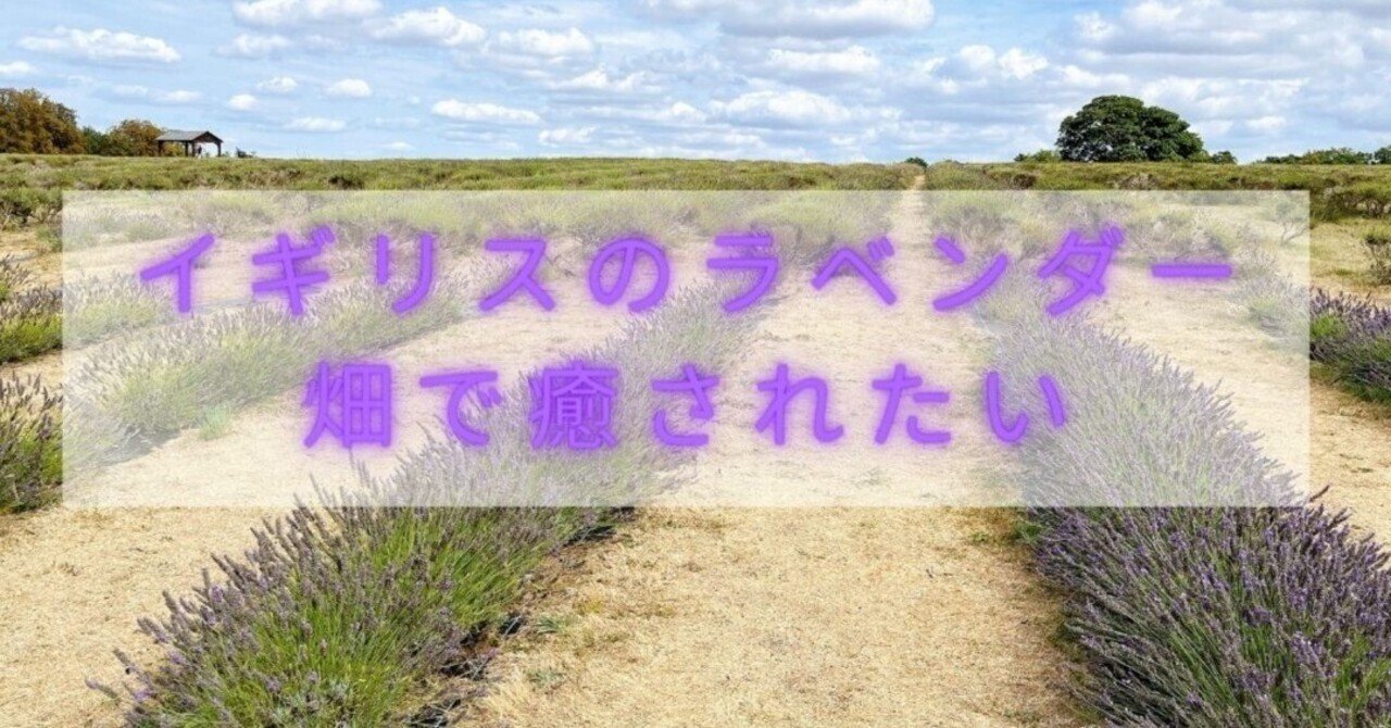 イギリスのラベンダー畑が私の癒しの場所 マナミー 人生好転 英語ができるようになりたい人へ Note イギリスのラベンダー畑が私の癒しの場所 マナミー 人生好転 英語ができるようになりたい人へ Note