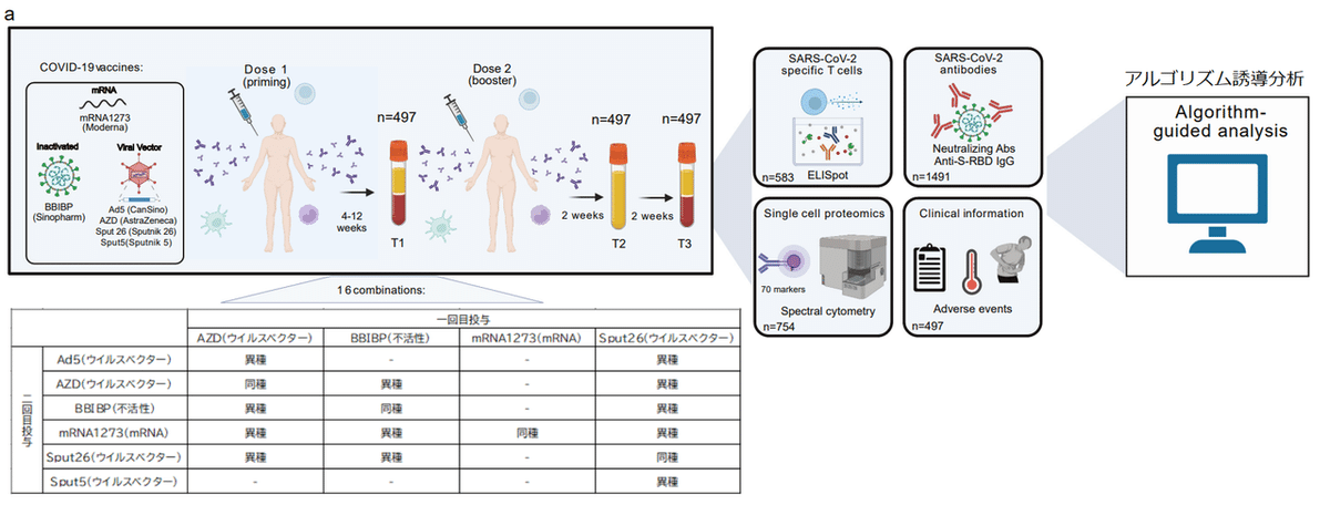 異種ワクチン接種(1回目+2回目) 図1A