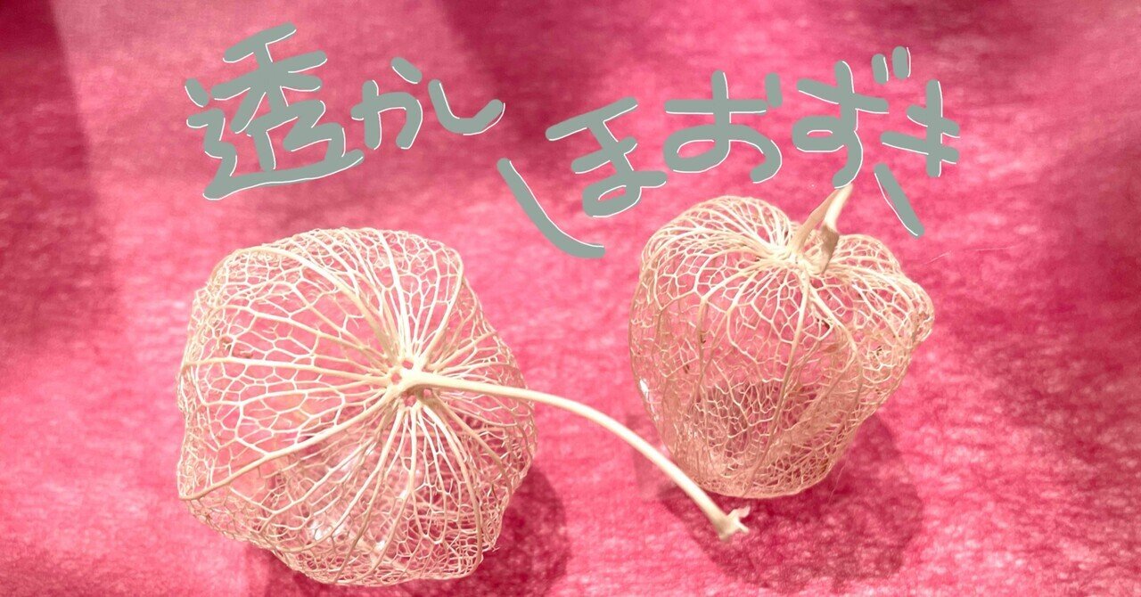 もも。様 オーダー】透かしほおずきハーバリウム2点