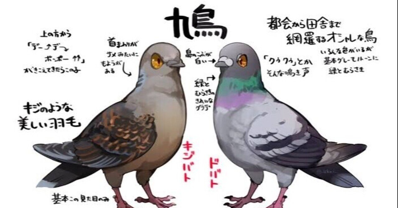 第2202回 対象的なハト｜翆野 大地