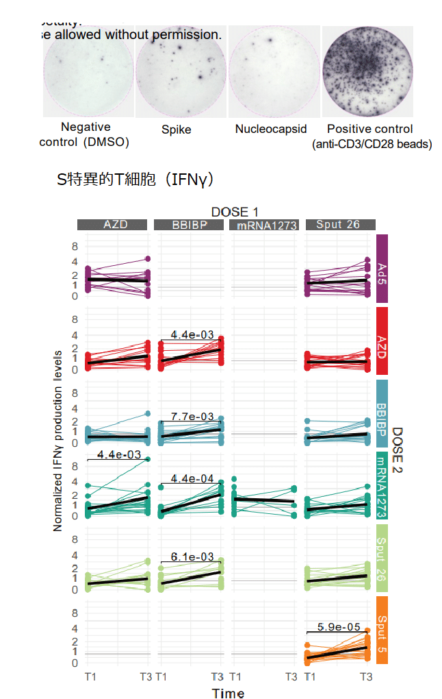 異種ワクチン接種(1回目+2回目) 図4A