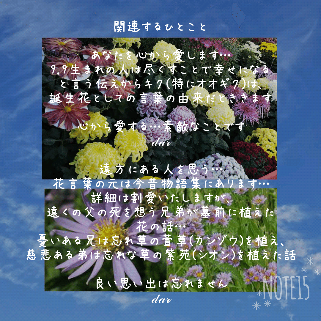 今日の花たち 9 9 花言葉 オオギク あなたを心から愛します 他のキク 高貴 高潔 高尚 シオン 追憶 君を忘れない 遠方にある人を思う 関連するひとこと だー Note
