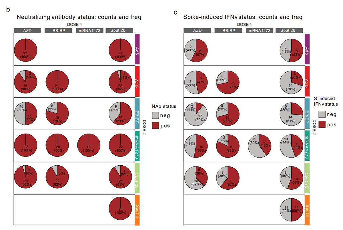 異種ワクチン接種(1回目+2回目) 図S6BC