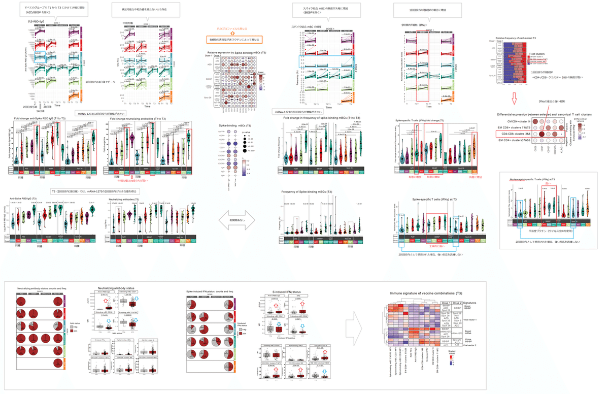 異種ワクチン接種(1回目+2回目) 2