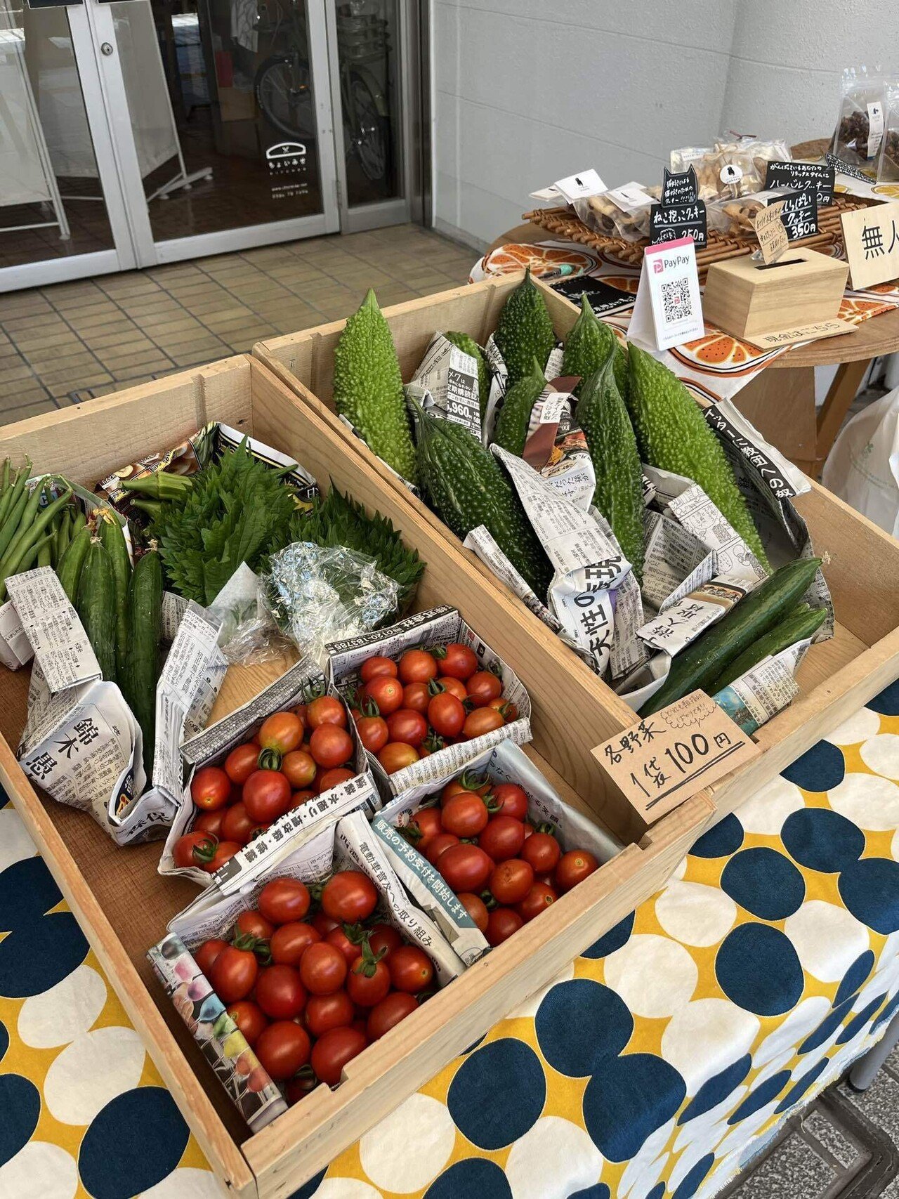 本格派 貯金箱 コインセレクター 100円 無人販売 料金箱 販売機