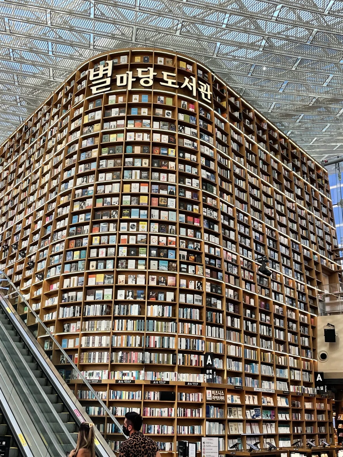 画像10