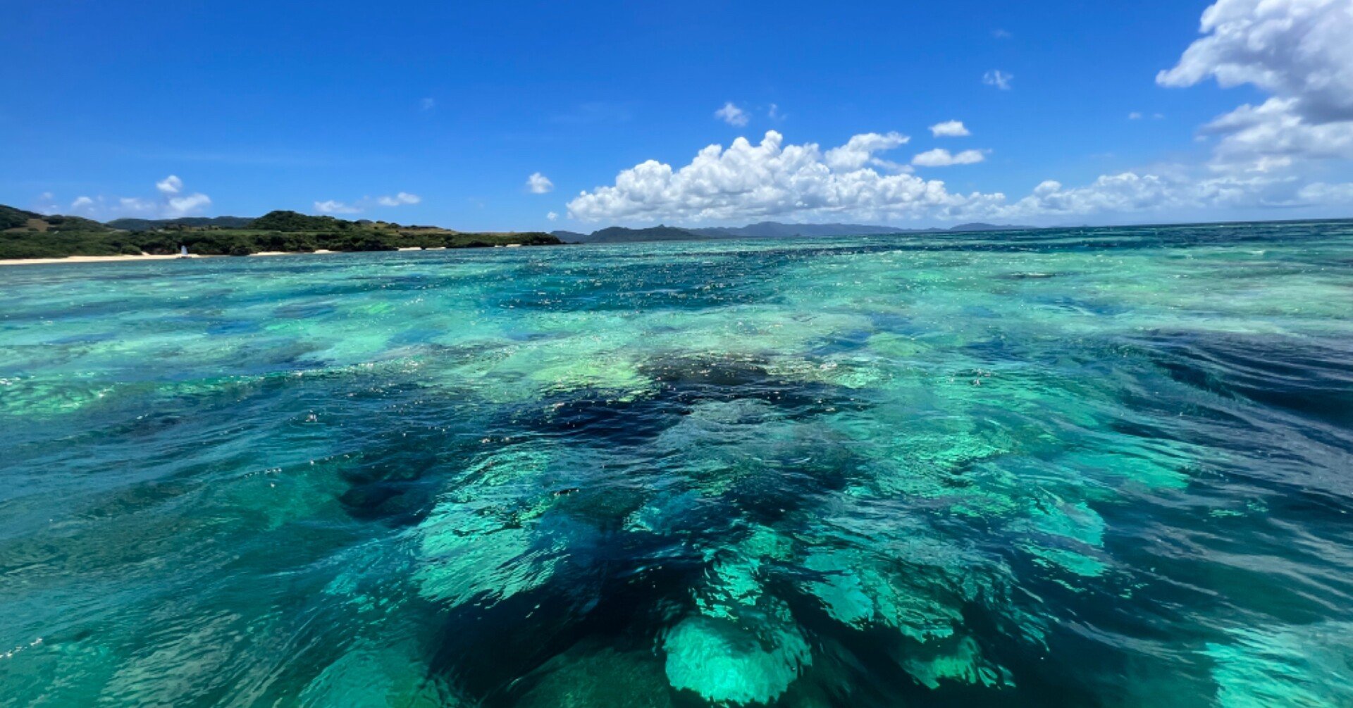 ウミガメを甘やかしすぎ？ 西表島で聞いたお話｜鈴木暁子AkikoSuzuki