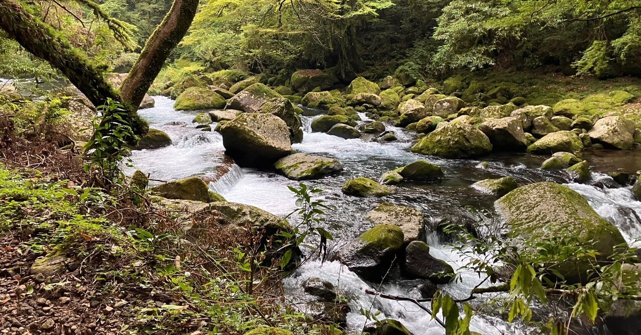 第2回科目修得試験に向けて〜英語科教育法Ⅰ〜(1年目 6月)｜シュバイニー