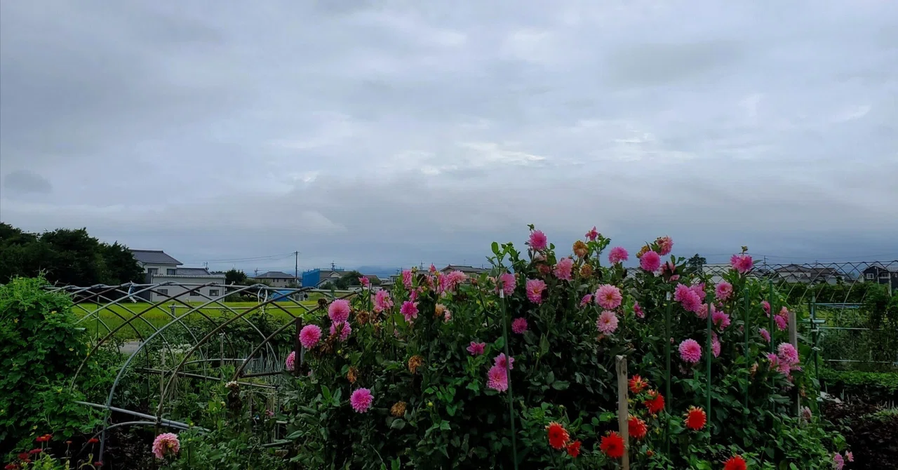 About our walking path, so close yet so far.｜enaco