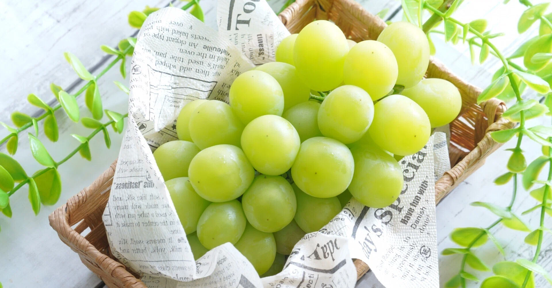 How to Enjoy Shine Muscat to the Fullest and How to Store Them