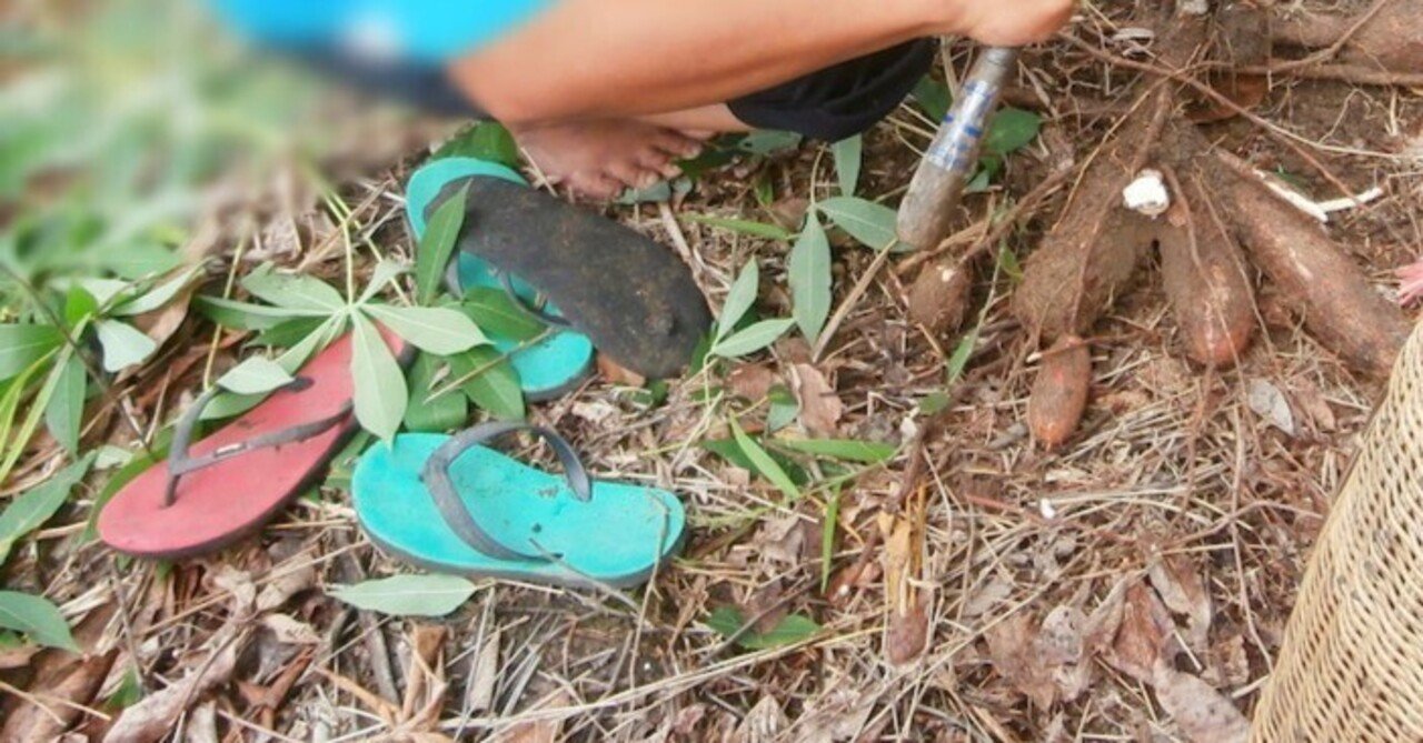 ボルネオ島ではビーチサンダルを「日本のスリッパ」と呼ぶ