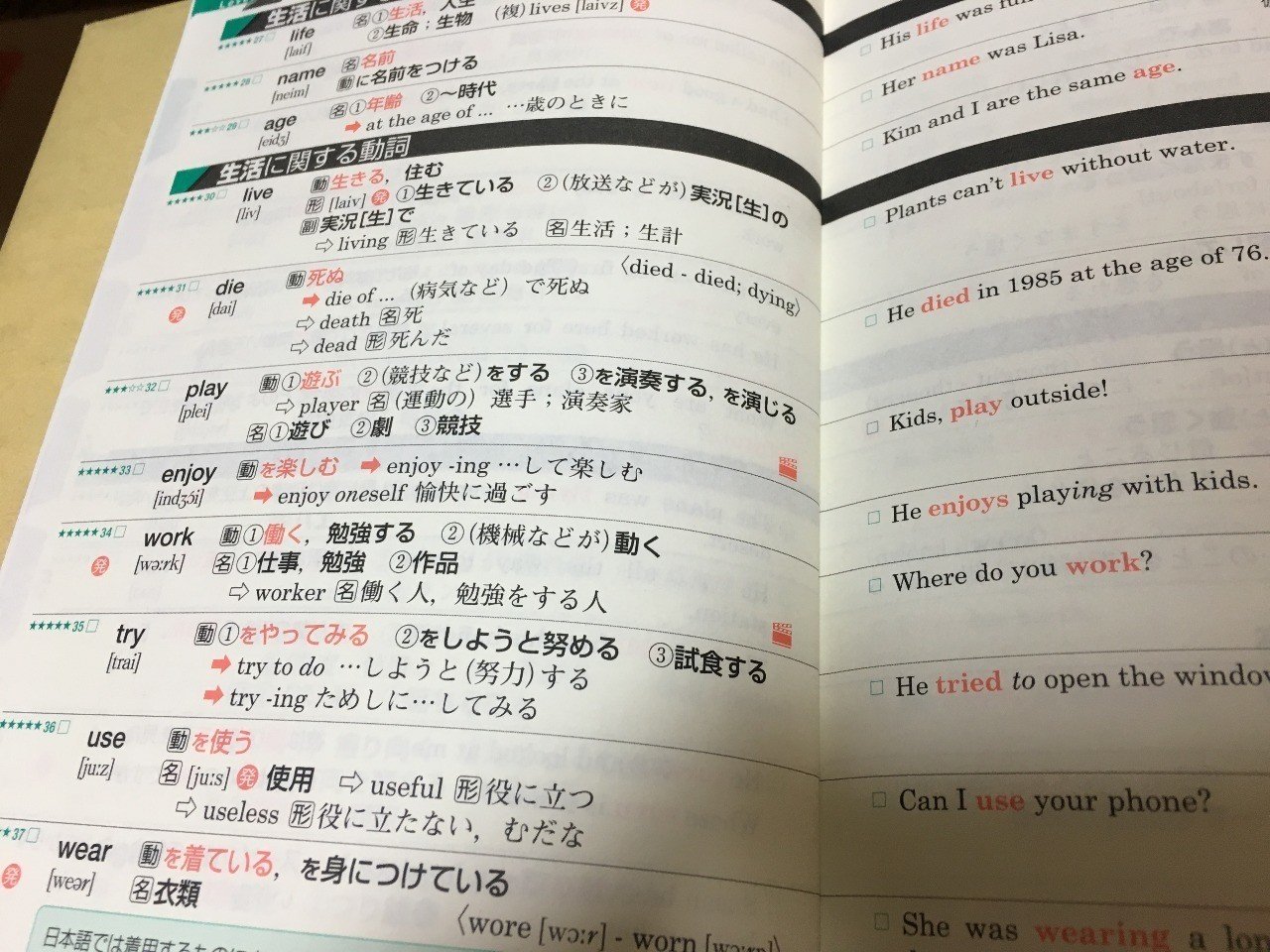 勉強すると言って早幾年 りおん Note 勉強すると言って早幾年 りおん Note