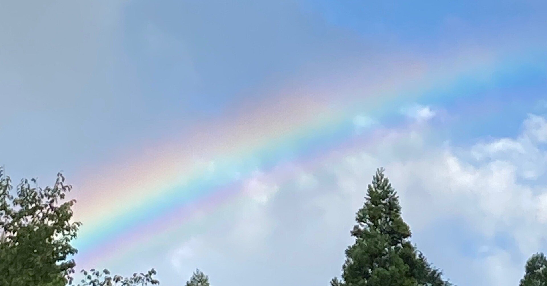 クリーニングにさえ囚われなくなった時 ホ オポノポノ実践家族のミニコラム Uiwater Note クリーニングにさえ囚われなくなった時 ホ オポノポノ実践家族のミニコラム Uiwater Note