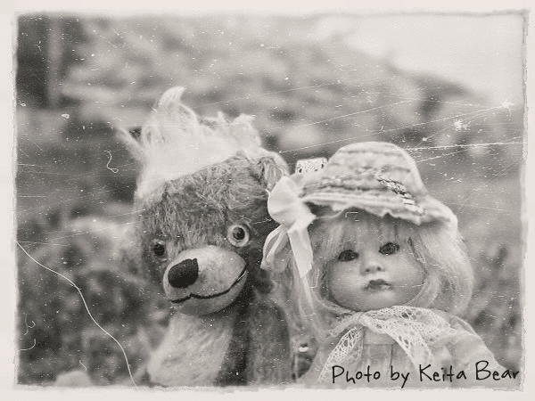 Cheeky｜ぼくはくま