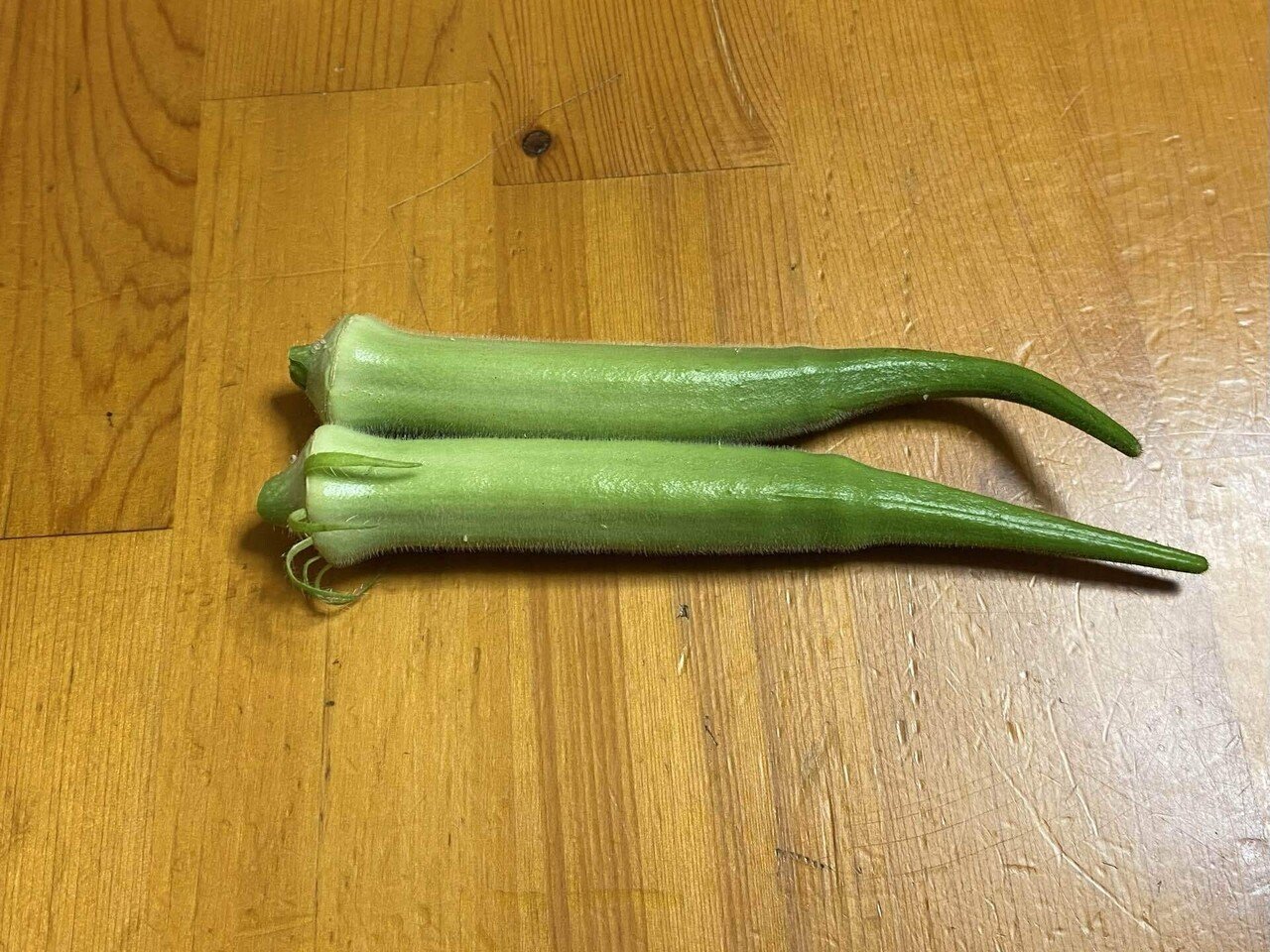 このところのベランダ菜園の収穫 オクラ キュウリ ヘチマ と料理 之哲 Yuki Satoru Note このところのベランダ菜園の収穫 オクラ キュウリ ヘチマ と料理 之哲 Yuki Satoru Note