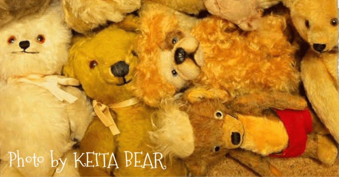 Cheeky｜ぼくはくま