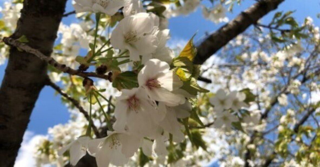 Ed99 Us7 金融リテラシー 高難度 心理学の現状維持の法則は意思決定にどのように影響を与えていますか 22 9 12updated Tokyo Kids ファイナンシャルクリエーター 蛯原健史 Note Ed99 Us7 金融リテラシー 高難度 心理学の現状維持の法則は意思決定にどのように影響を与えていますか 22 9 12updated Tokyo Kids ファイナンシャルクリエーター 蛯原健史 Note