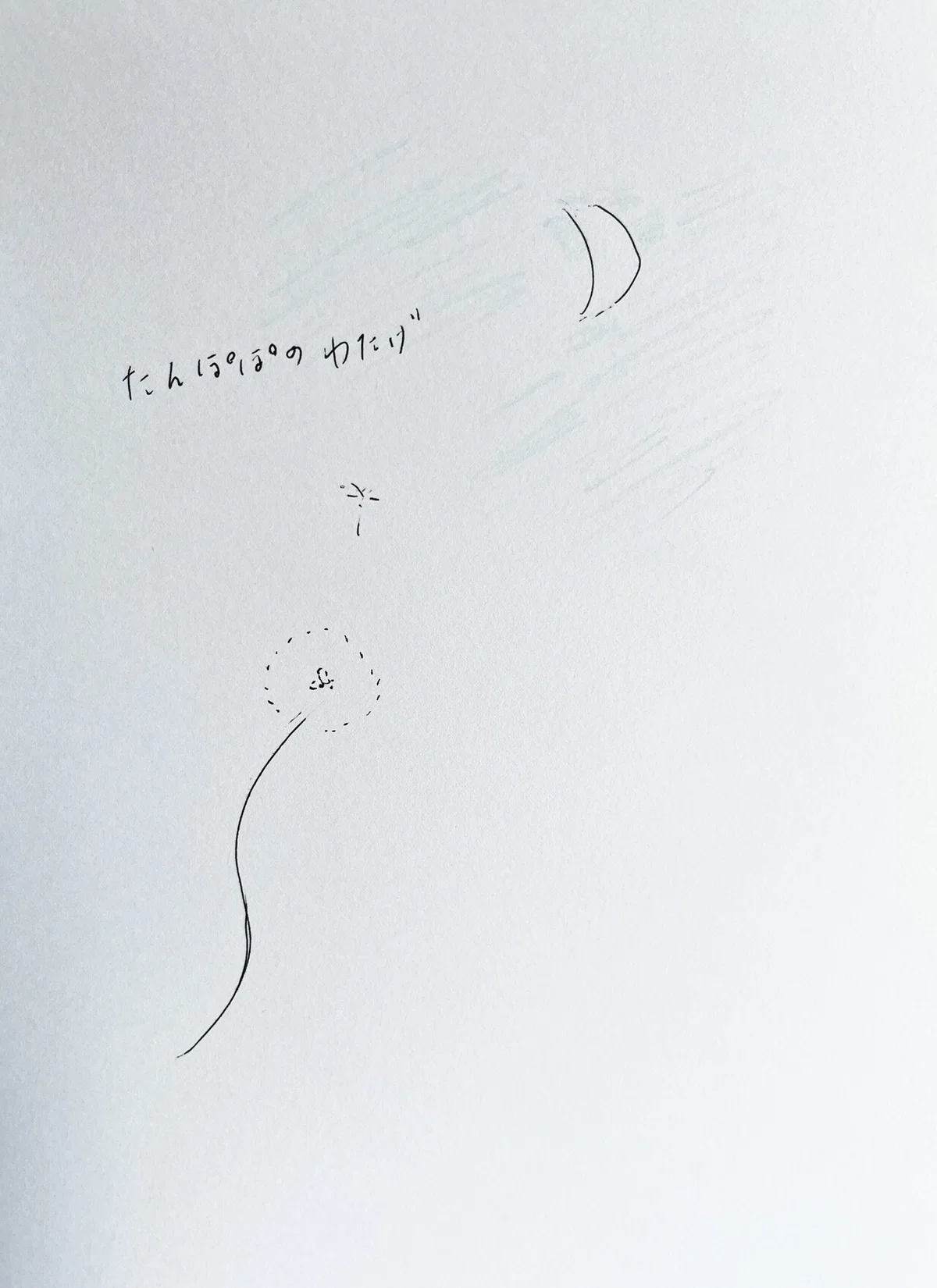 画像12