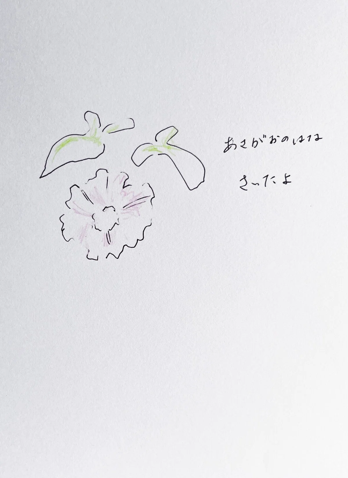 画像13