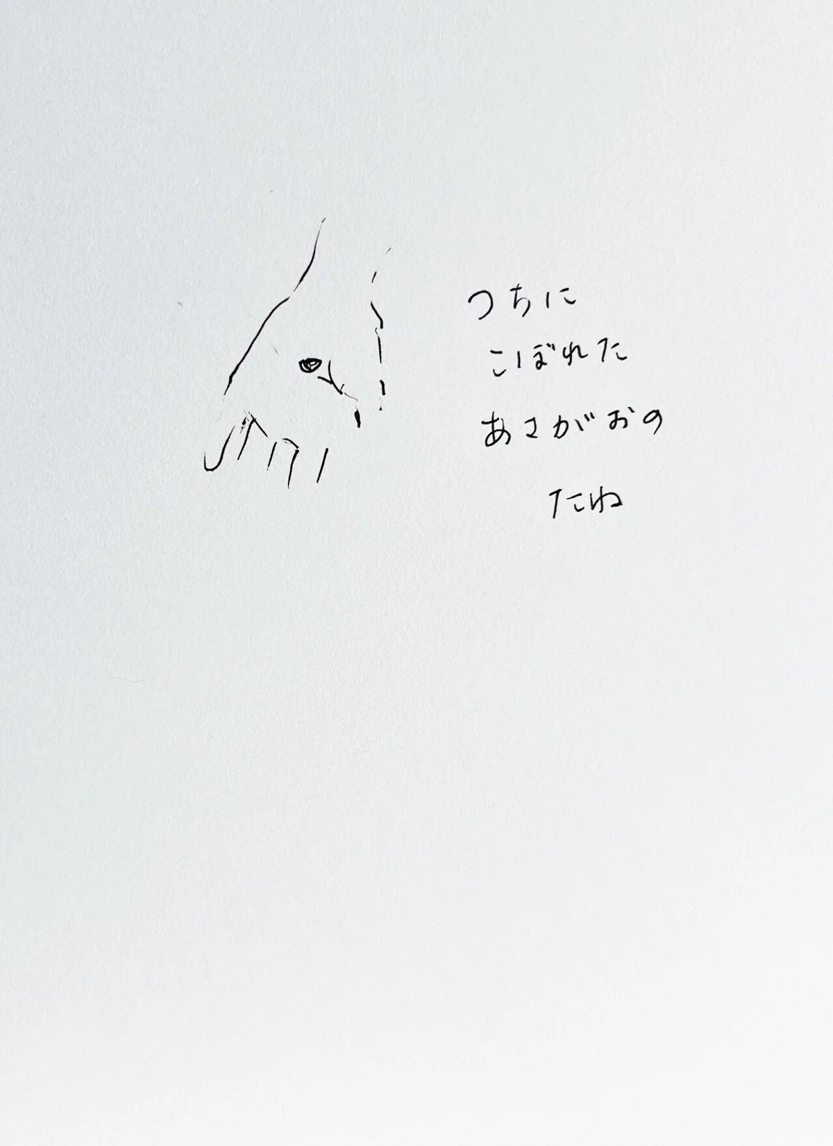 画像20