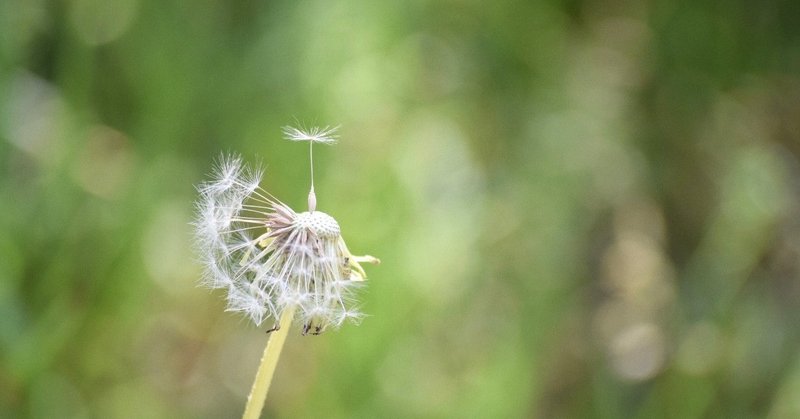 う まず たゆま ず まずは の意味とは ビジネスで使える例文や類語 英訳も解説 Amp Petmd Com