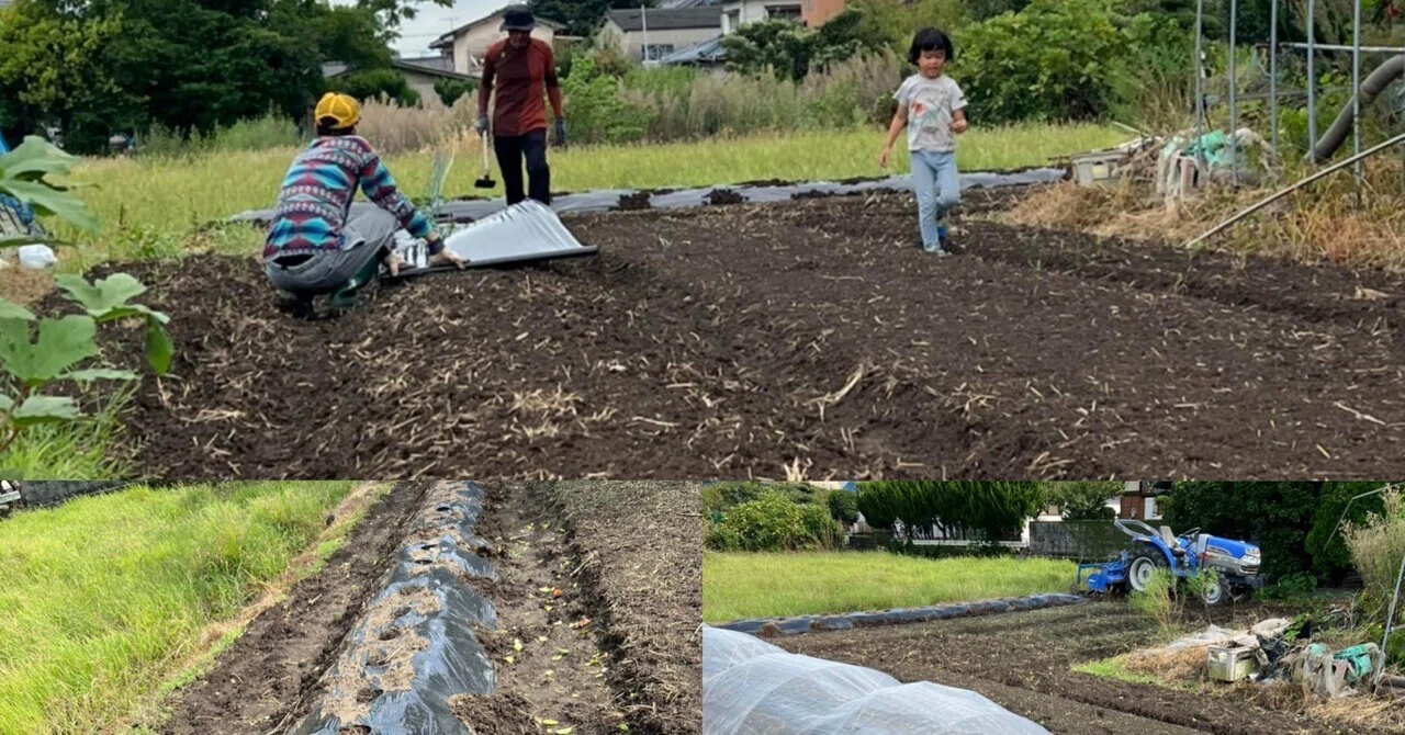畑作りの基本【マルチと防虫ネット】｜たびどうらく｜田舎暮らしの会社員