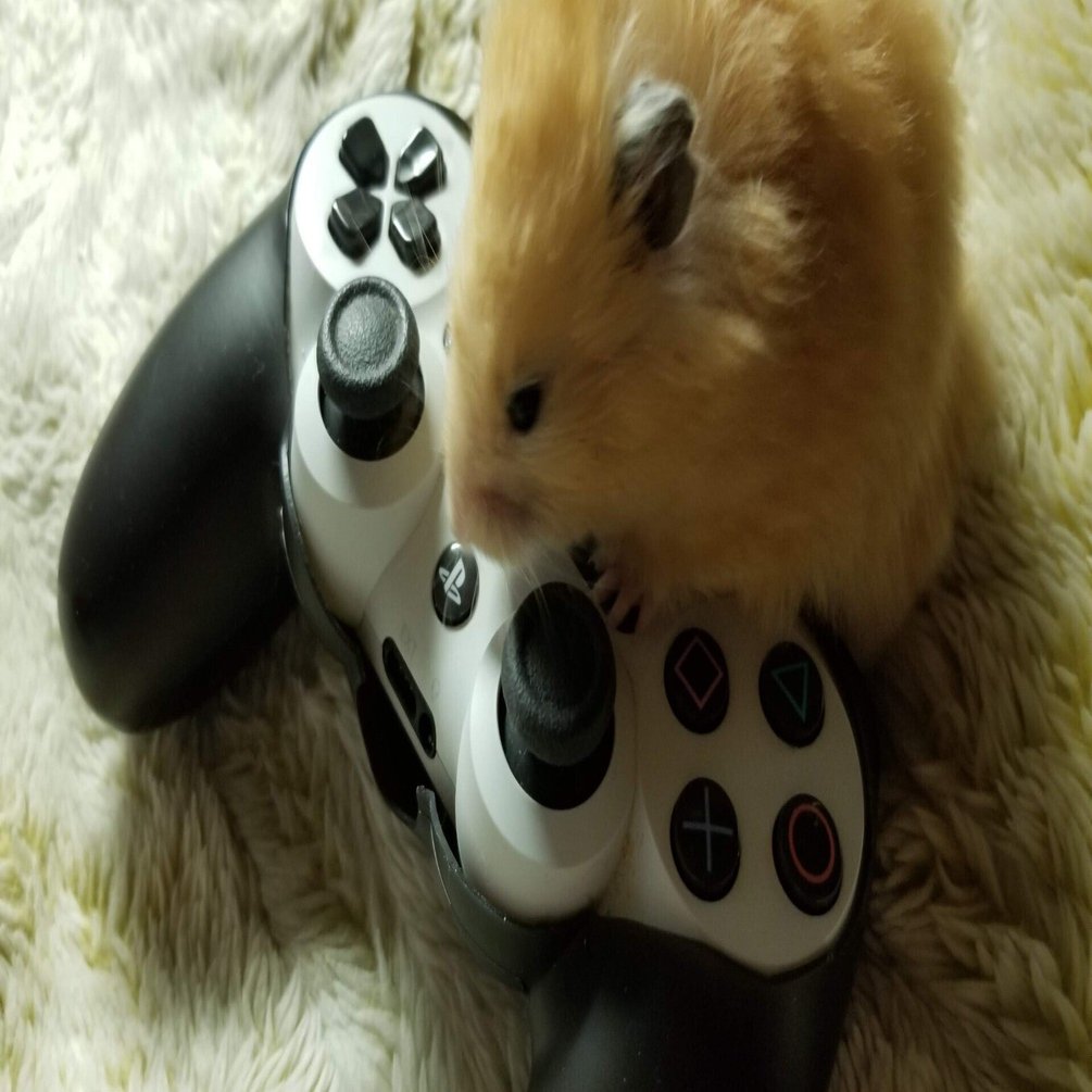 オンラインゲームにおけるVC｜gunsoo / O.W.