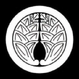 ゴールデンカムイ 不死身の杉元のルーツを追え 苗字研究 Note