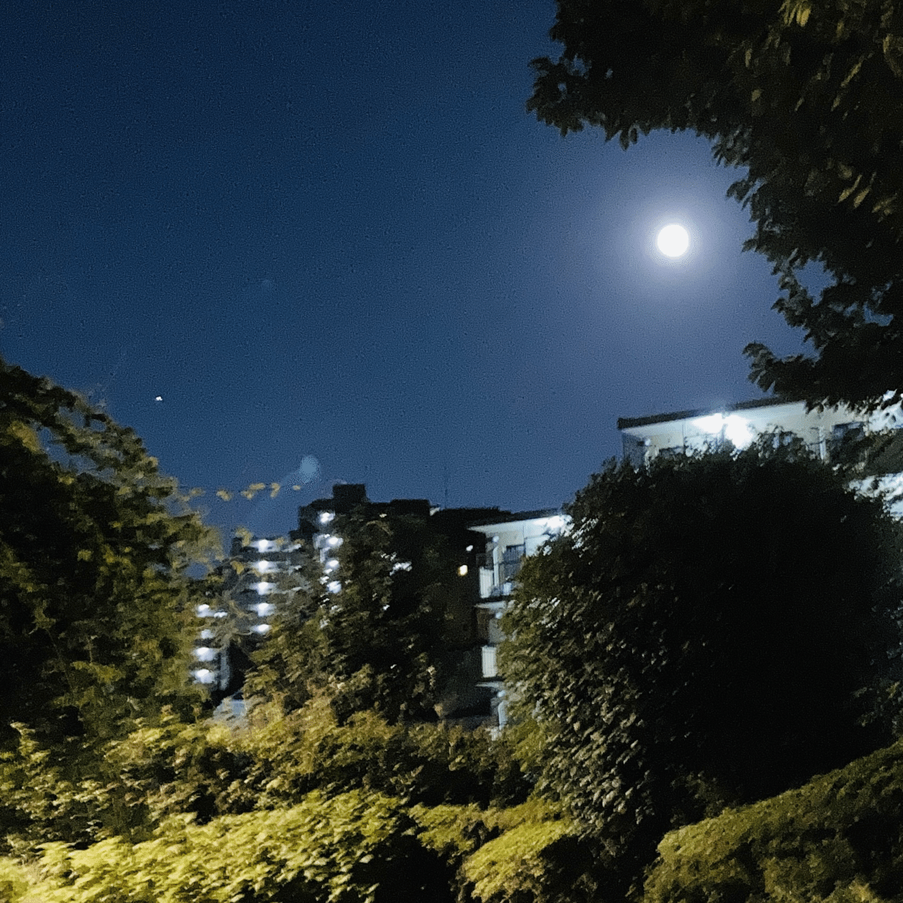 今日の模様 007 中秋の名月 まんまるお月様に照らされた夜空の暗い青が好きです Googleロゴにも今日は月にウサギさんが見え隠れしていて可愛い いろろ Note