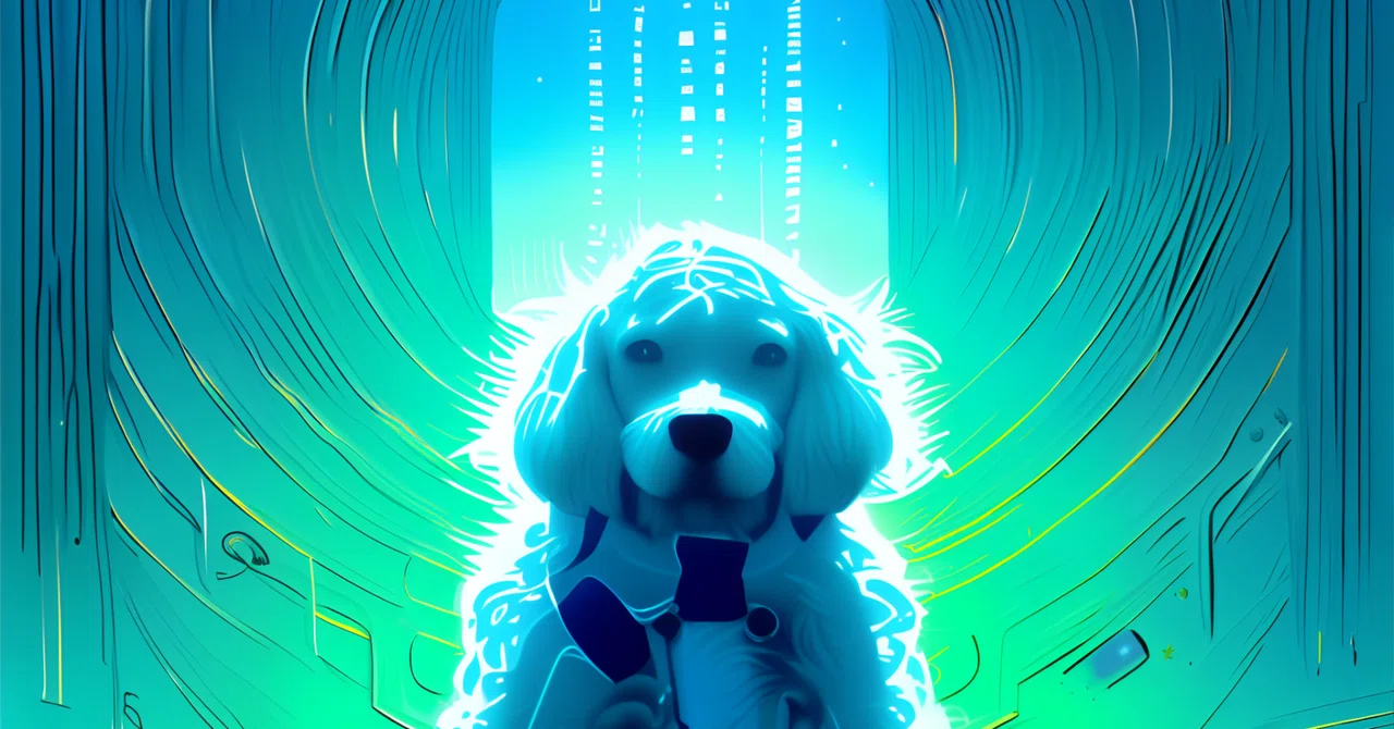 WIPE OUT TOKYO(とがる、GOMESS、mizuirono_inu)@Spotify O-nest 2022/9/10|ヴァジュラ𝔦𝔡