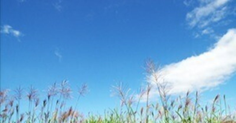 禅の言葉 の新着タグ記事一覧 Note つくる つながる とどける