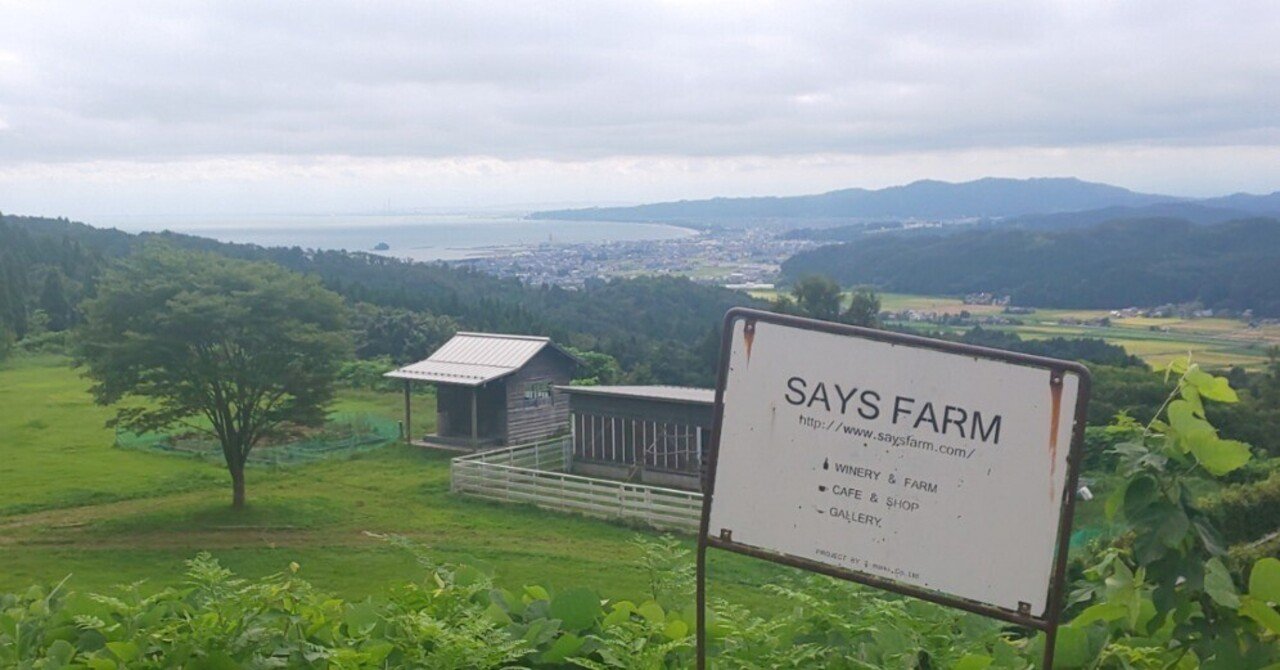 SAYSFARM BLANC DE BLANCS 2016 セイズファーム限定（日本