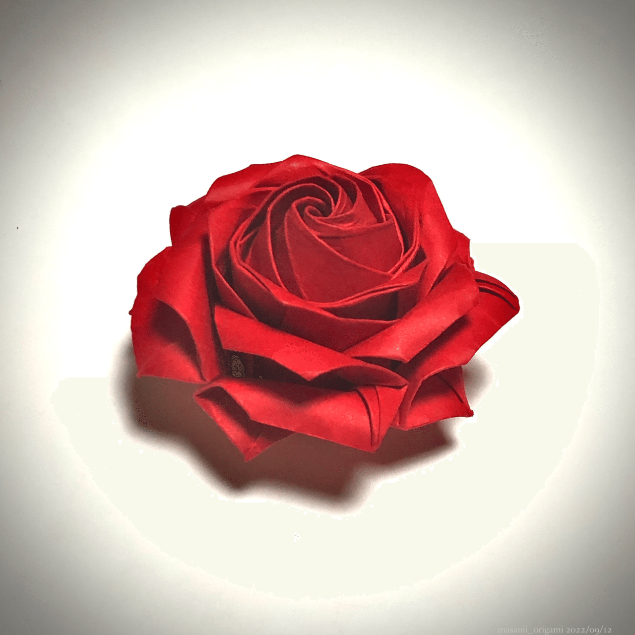 佐藤薔薇47本 佐藤薔薇47本 佐藤薔薇47本 佐藤薔薇47本 佐藤薔薇47本