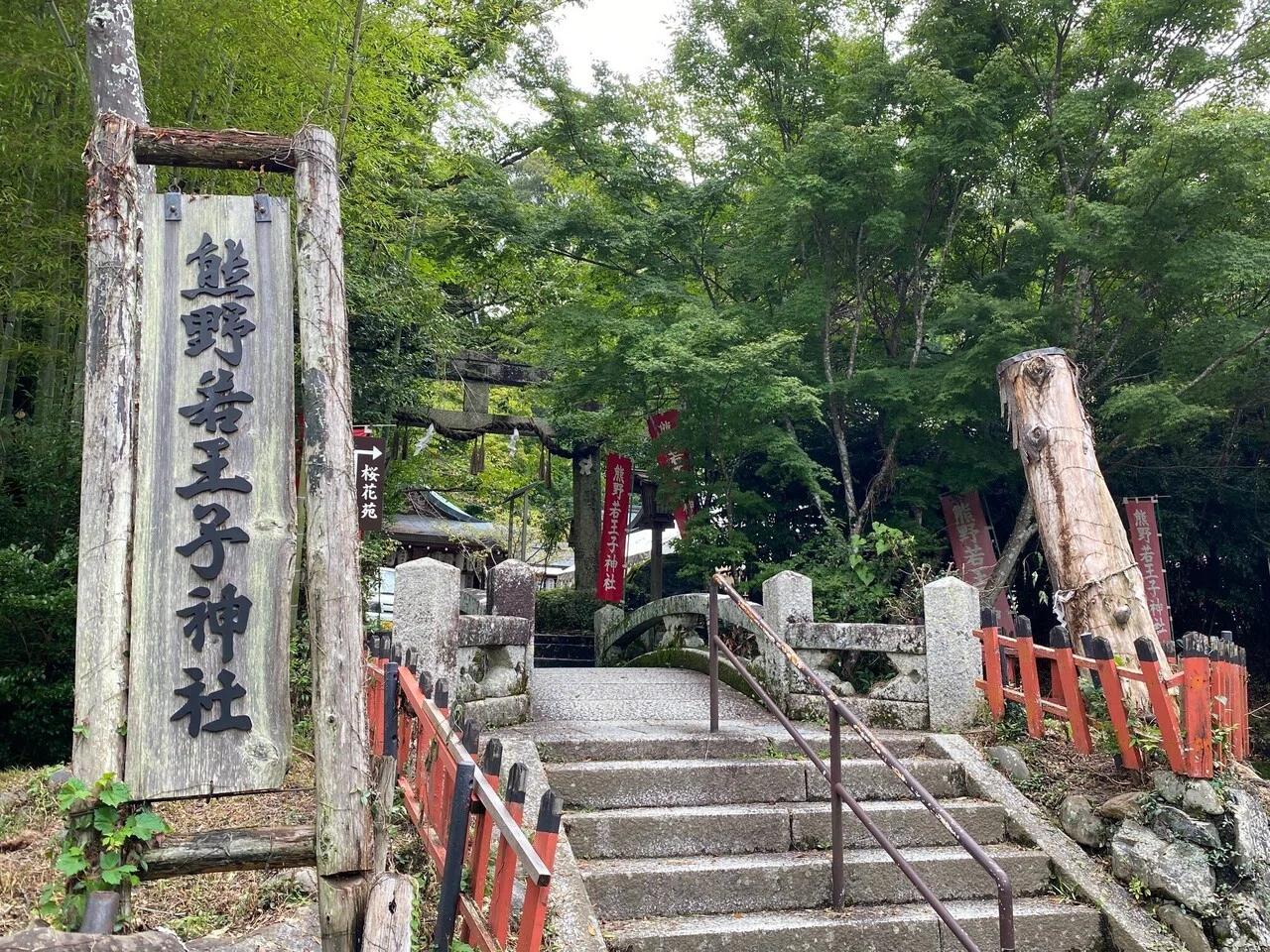 京都】琵琶湖疏水④ 哲学の道でキジトラと一期一会の出会い。信じると