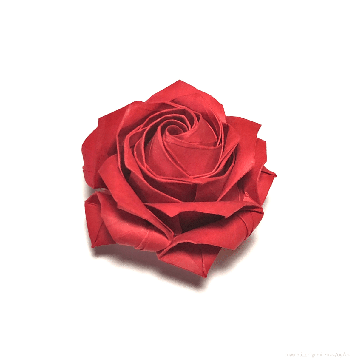 佐藤薔薇４７本 まさにぃの佐藤ローズ、迷走の末に新たなステージへ／masanii's