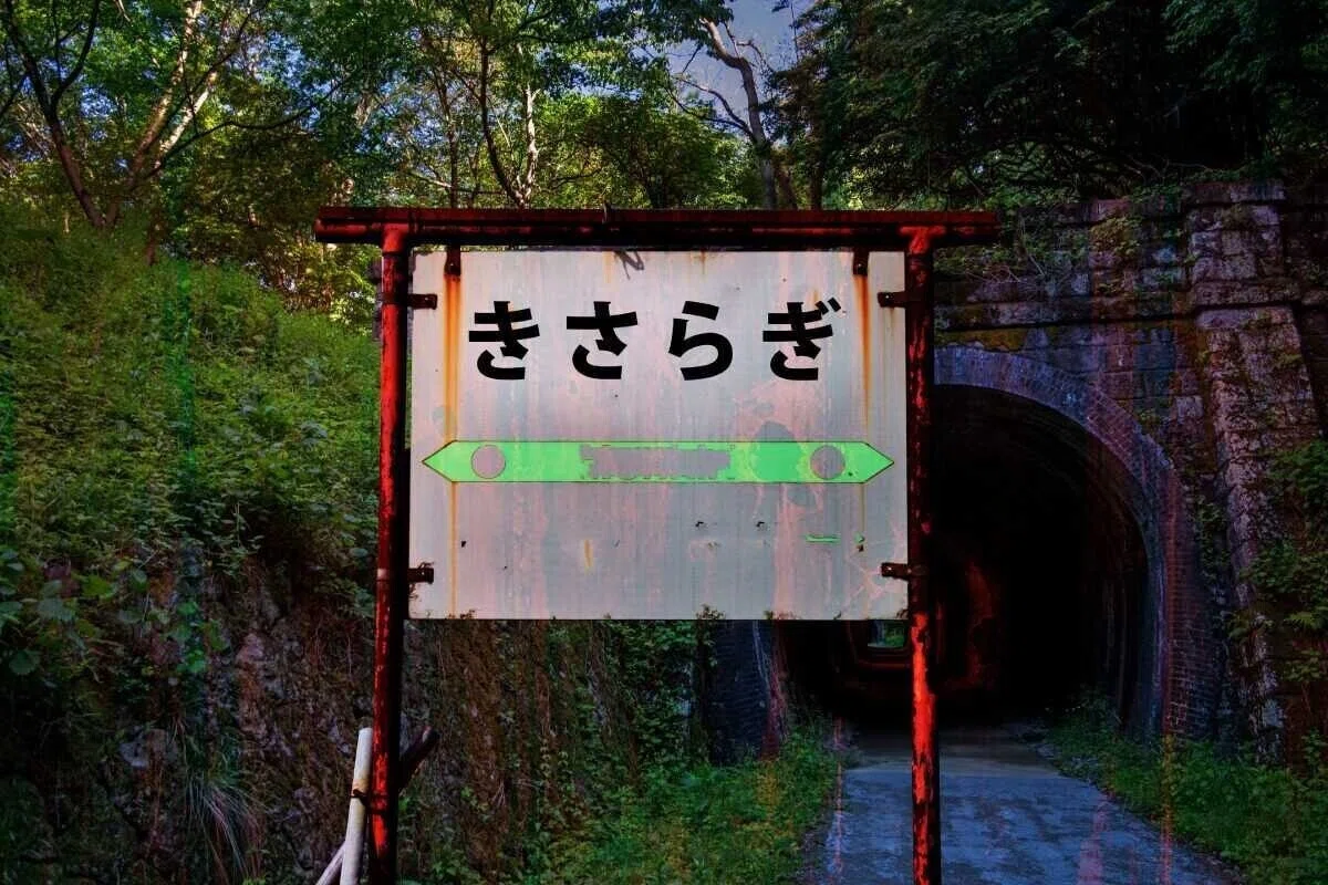 画像4