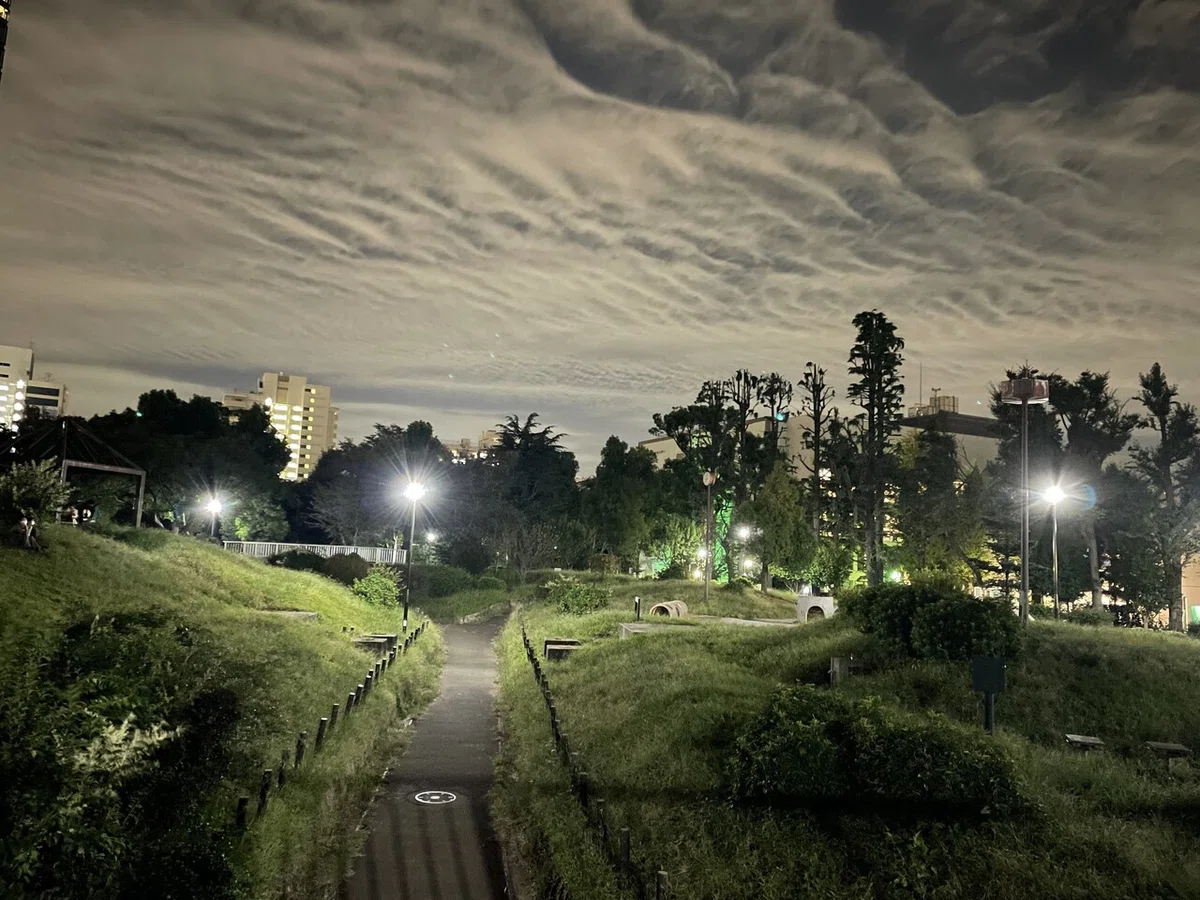 出歯亀伝説 ②明治41年3月22日|大久保風土記(猫目)
