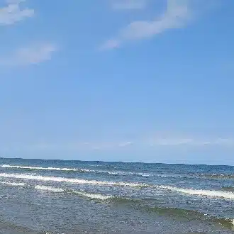 えのもと