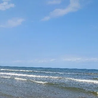 えのもと