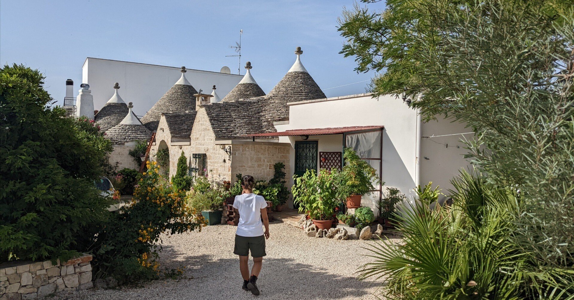 夢のアルベロベッロで気ままなトゥルッリ暮らしも楽じゃない 食べるサラダ By 久野太一 Note 夢のアルベロベッロで気ままなトゥルッリ暮らしも楽じゃない 食べるサラダ By 久野太一 Note