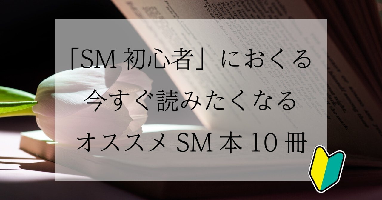 SMホテルアルファイン素人男調教 書評】「SM初心者」におくる、今すぐ読みたくなるオススメSM本10冊|D-8